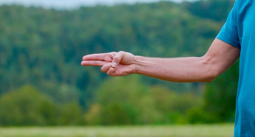 Taiji-Schwertfinger: Der Zeige- und Mittelfinger sind gestreckt, während der Daumen auf den gebeugten Klein- und Ringfinger gelegt wird. Man sieht die Unterarminnenseite vor grünem Hintergrund.